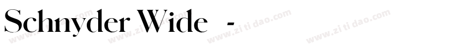 Schnyder Wide 字体字体转换